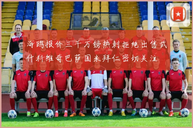 海鸥报价三千万镑热刺拒绝出售武什科维奇巴萨国米拜仁密切关注